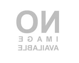 电子游艺平台下载 logo